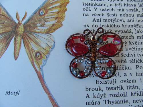 Papillon rouge — foto 4