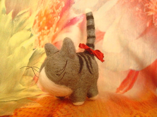 Kočička Mourek — foto 2