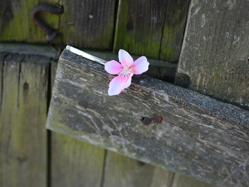 Sponky "čistě jarní" (na přání) — foto 5
