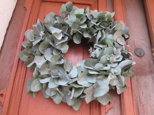 Eucalyptový s větrovou vůní — foto 3