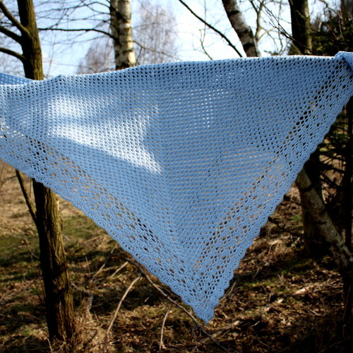 Modravý šátek — foto 6