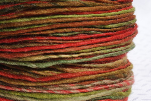 Lesní berries... — foto 3