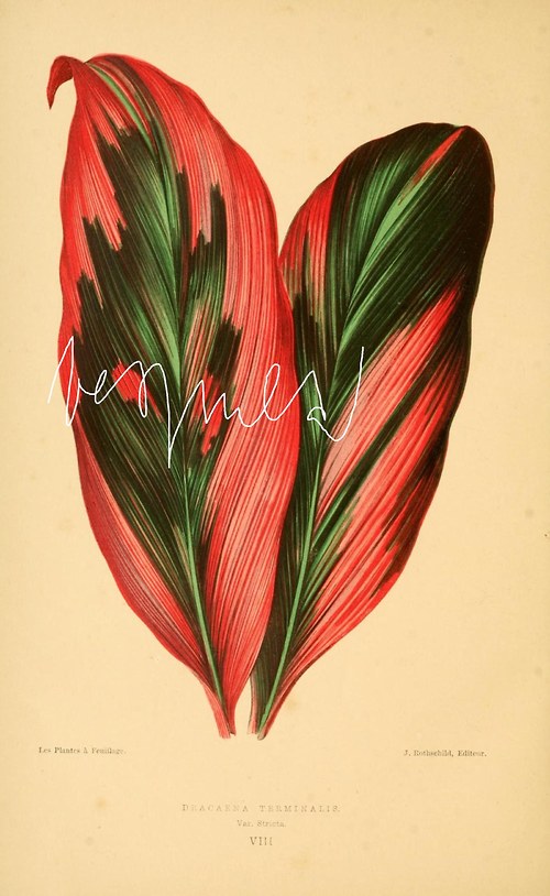 Listy II — foto 6