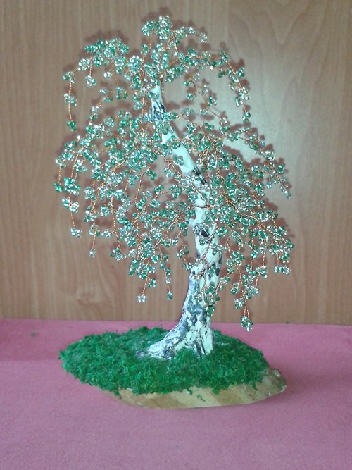 Jarní břízka 2 — foto 2