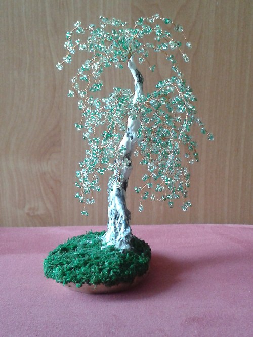 Jarní břízka 2 — foto 3