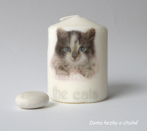 Svíčka Koťátko s nápisem The Cats — foto 2