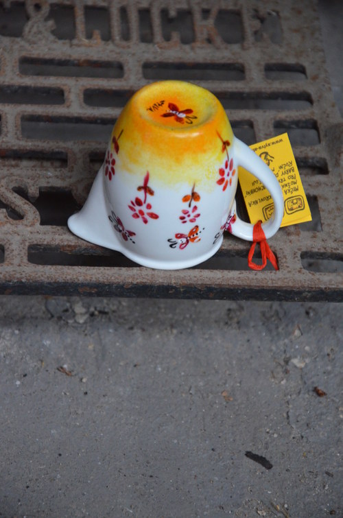 Mlékovka snící kocourek — foto 3