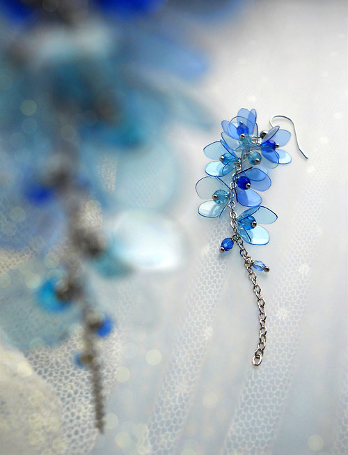 Wisteria rainy... — foto 3
