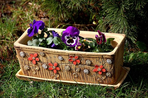 Truhlík -červené a bílé střapaté kyti-na obj!!! — foto 3