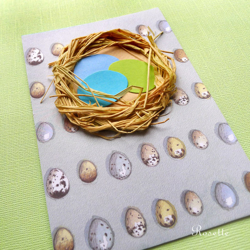 Hnízdění ... - přání — foto 2