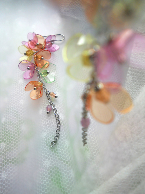 Wisteria vernal... — foto 6