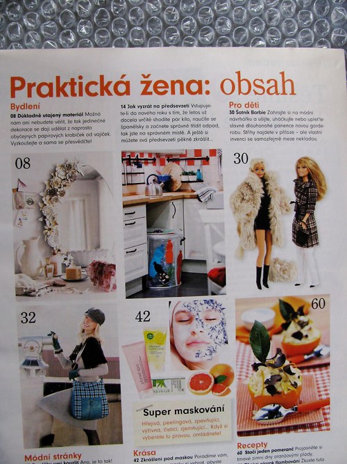 Praktická moderní žena leden 2009 — foto 3