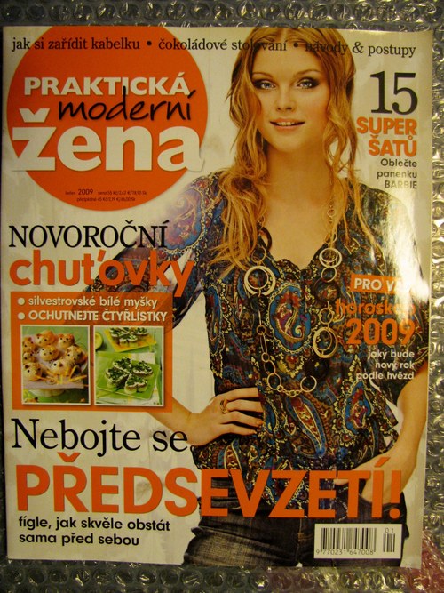 Praktická moderní žena leden 2009 — foto 2