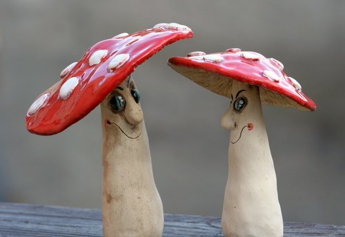 Veselé muchomůrky — foto 6