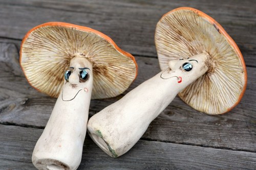 Oranžové muchomůrky — foto 4