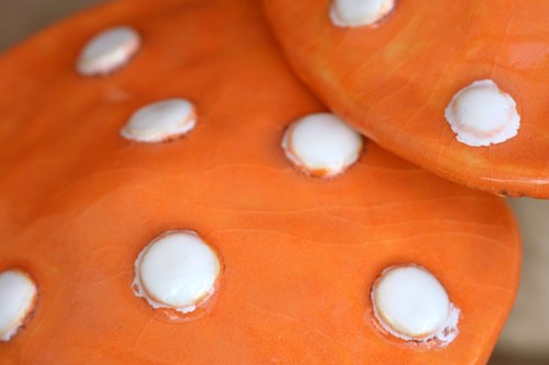 Oranžové muchomůrky — foto 5