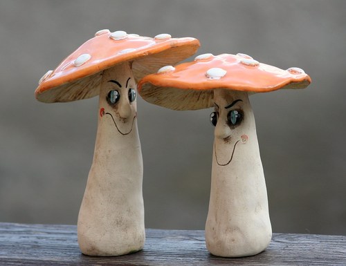 Oranžové muchomůrky — foto 6