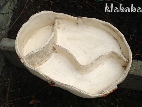 Sukulentník — foto 3