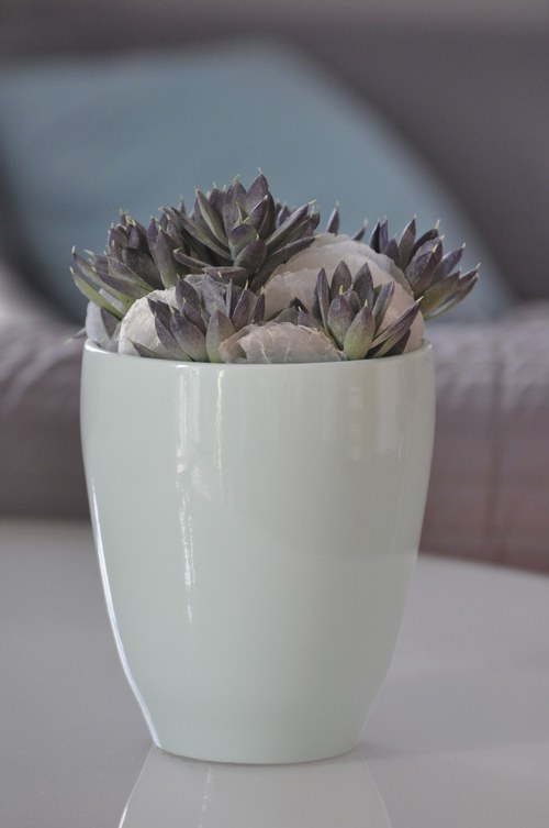 Dekorace Mintty — foto 2