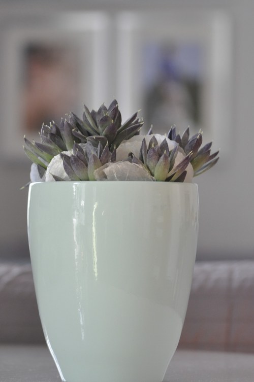 Dekorace Mintty — foto 6