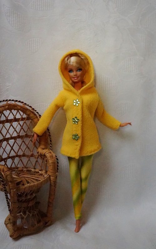 Zimní sluníčko — foto 4