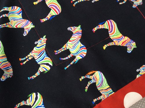 Paní Zebra — foto 3