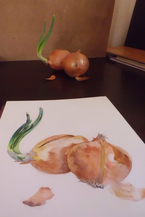 Cibule. Akvarel. — foto 3