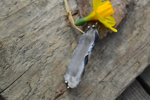 Ledové snění — foto 3