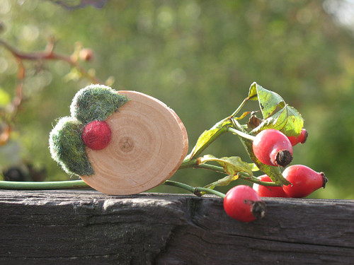 Ovoce stromů rajských jíme ... — foto 3