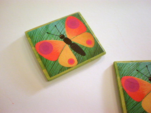 Motýlí magnet — foto 2