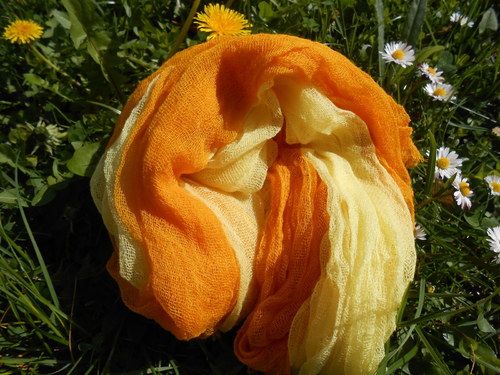 Jarní sluníčko - oranžová — foto 2