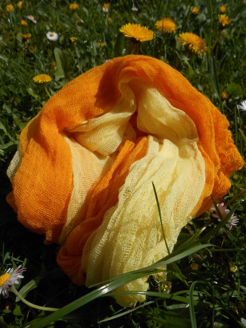 Jarní sluníčko - oranžová — foto 3
