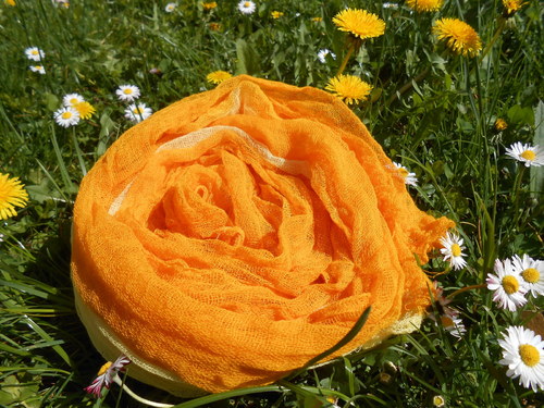 Jarní sluníčko - oranžová — foto 5