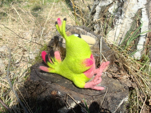 Rajský Ptáček — foto 2