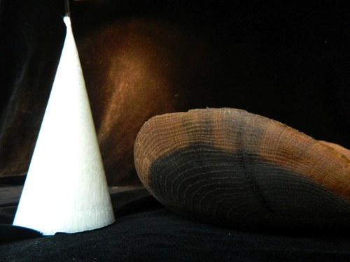 Černý tác — foto 2