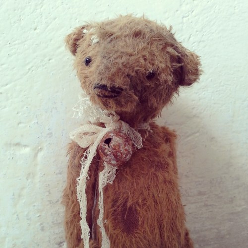 Medvídek old Jim — foto 2