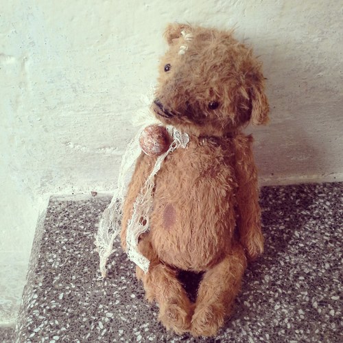 Medvídek old Jim — foto 4