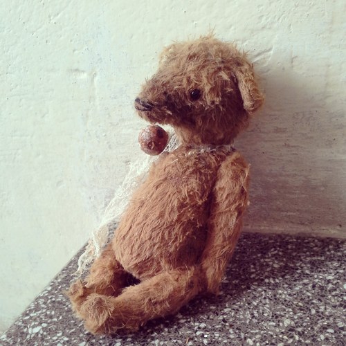 Medvídek old Jim — foto 5