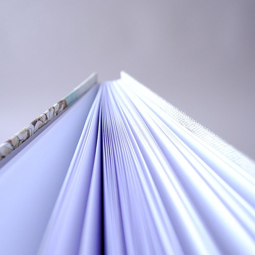 Notes Rozkvetl strom — foto 6