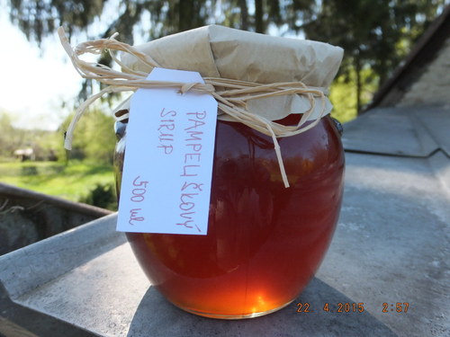 Pampeliškový sirup — foto 3