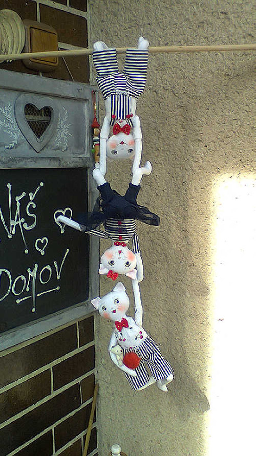 Kočičí trio — foto 2