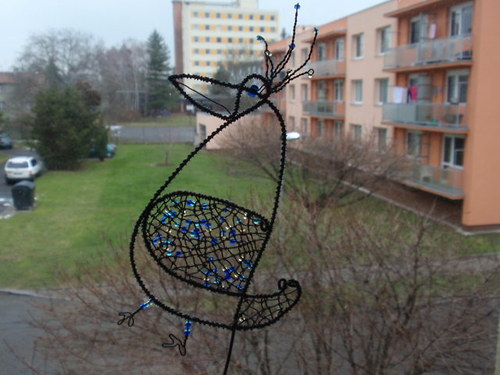 Pták chocholák — foto 3