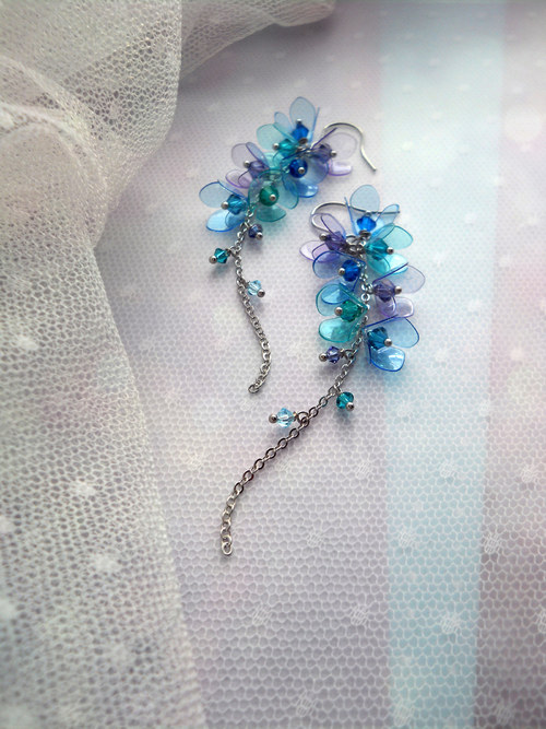 Wisteria blueberry... — foto 5