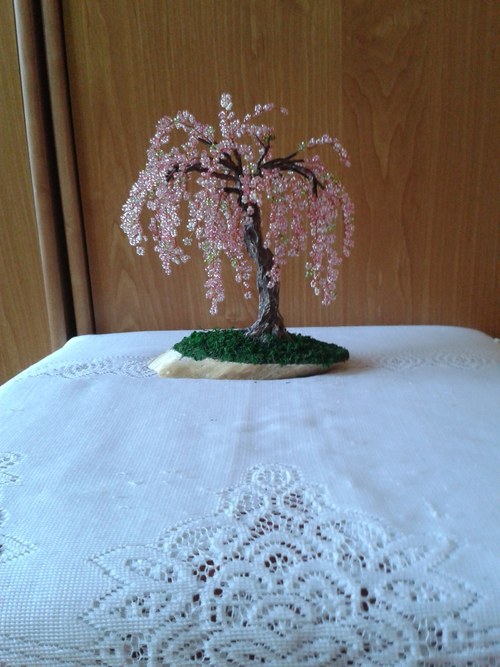 Růžovka - vzor — foto 2