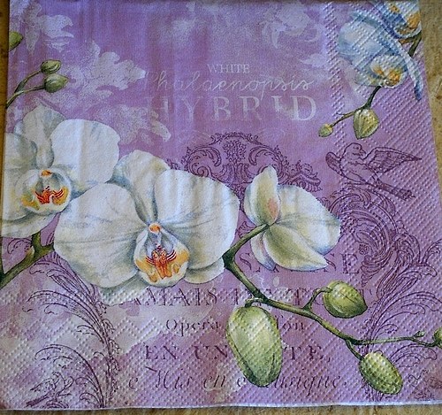 Ubrousek ORCHIDEJ — foto 3