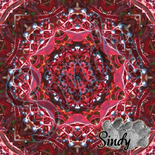 Mandala psího vína 01 — foto 4