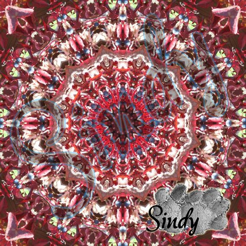 Mandala psího vína 02 — foto 4