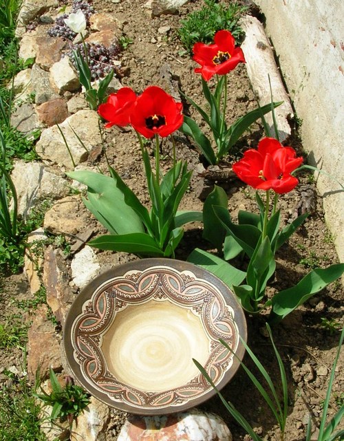 Tuli, tuli, tulipán... — foto 4