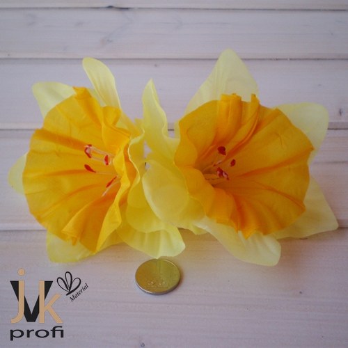Narcis květ - velký — foto 2