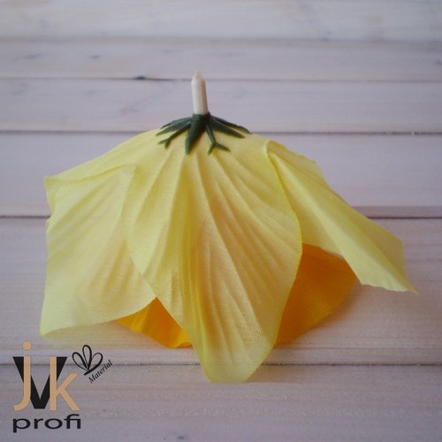 Narcis květ - velký — foto 3